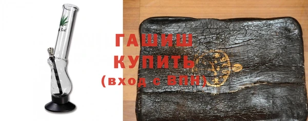 индика Гусиноозёрск