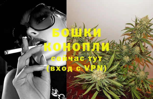 индика Гусиноозёрск