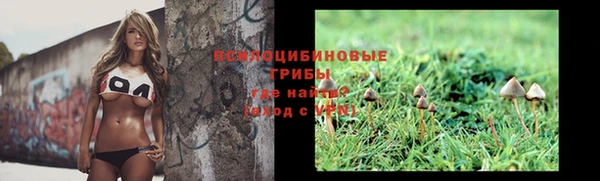 экстази Гусь-Хрустальный