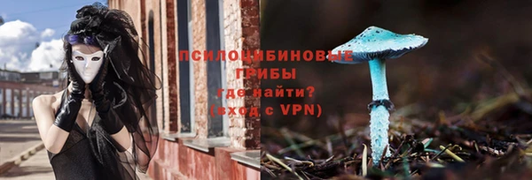 первитин Гусев