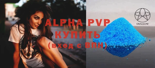 индика Гусиноозёрск