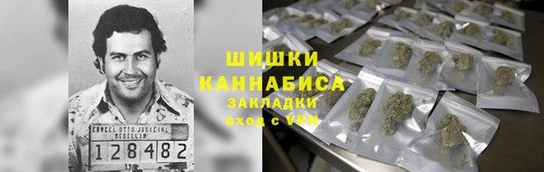 первитин Гусев
