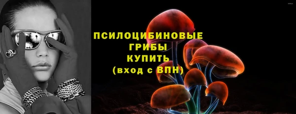 первитин Гусев