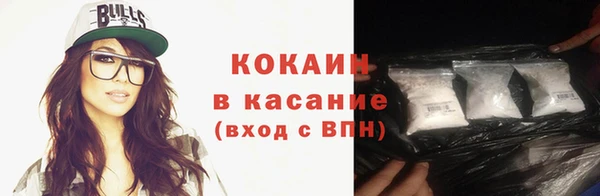 индика Гусиноозёрск