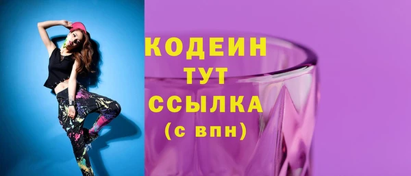 индика Гусиноозёрск