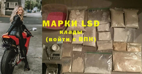 индика Гусиноозёрск