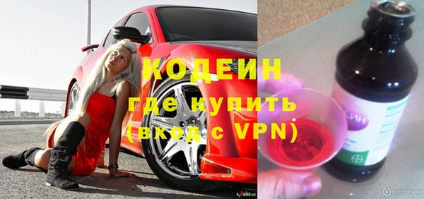 индика Гусиноозёрск