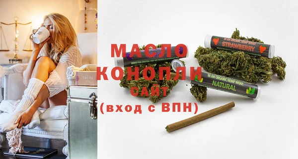 индика Гусиноозёрск