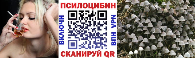 Галлюциногенные грибы мухоморы  Ноябрьск 