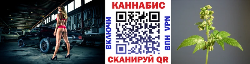 купить Ноябрьск Канабис ГИДРОПОН